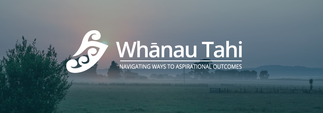 Whanau Tahi scales for explosive demand, with Crayon