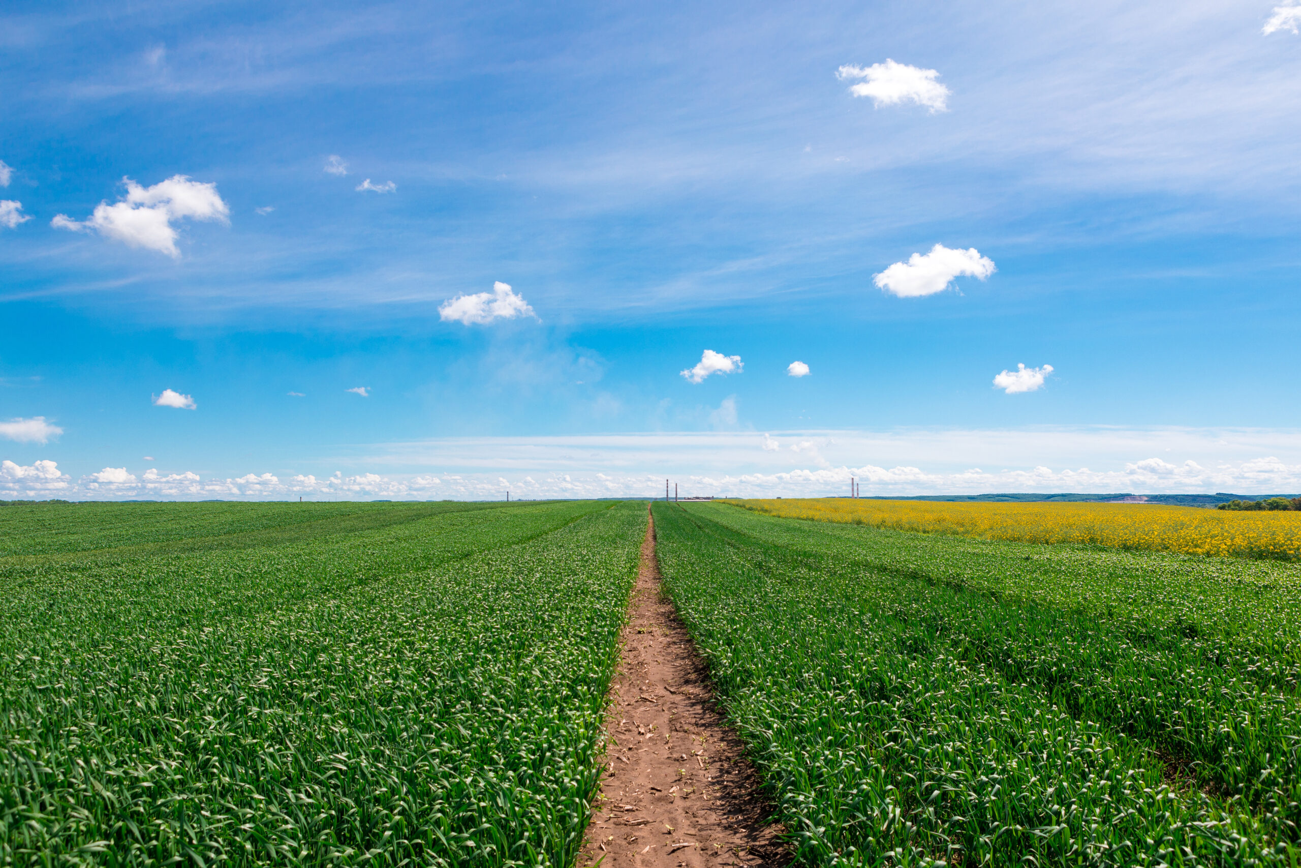 Microsoft Security SPD Attainment