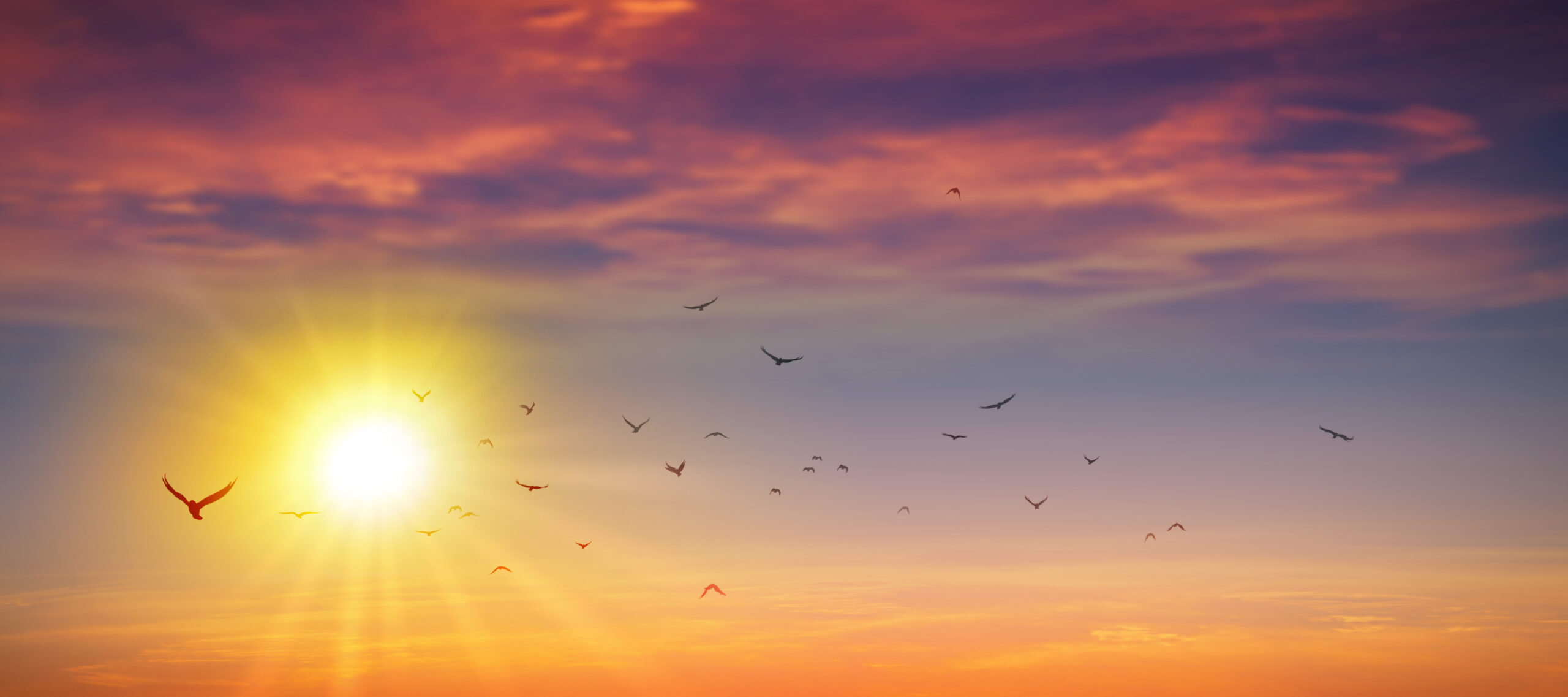 Project Online Retirement